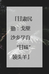甘肃民勤：戈壁沙乡孕育“甘味”领头羊